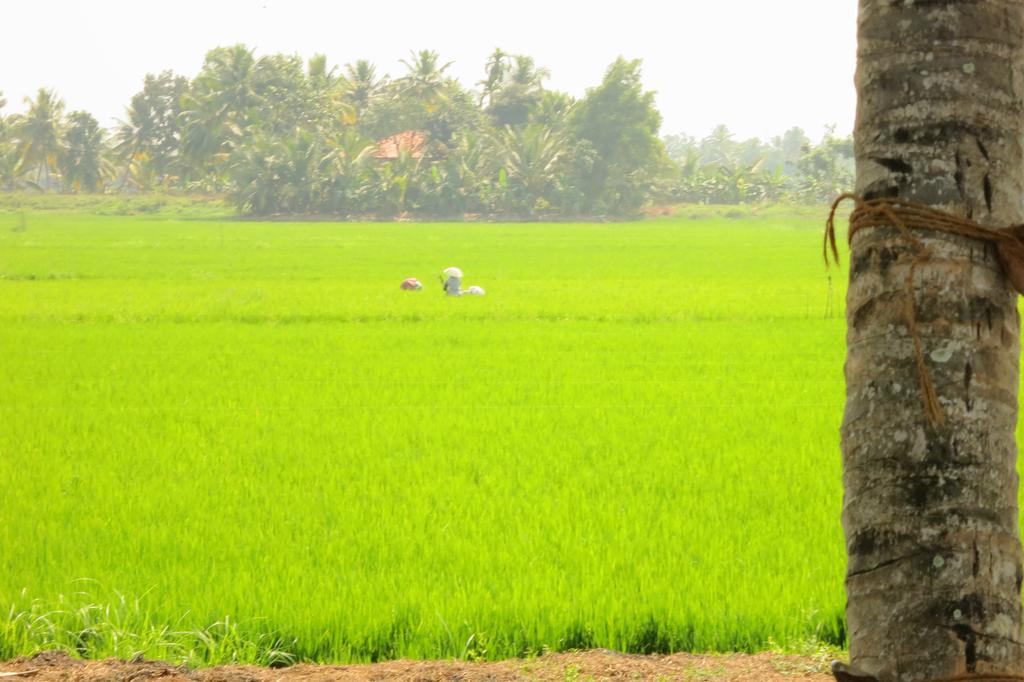 Marari Secret Beach Yoga Homestay Mararikulam Bagian luar foto
