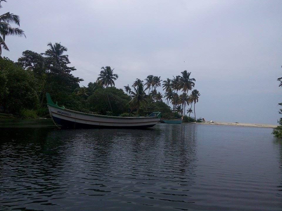 Marari Secret Beach Yoga Homestay Mararikulam Bagian luar foto