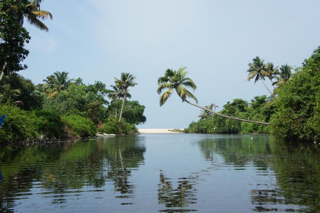 Marari Secret Beach Yoga Homestay Mararikulam Bagian luar foto